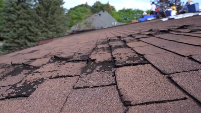 Fast & Reliable Emergency Roof Repairs in Edgar, WI